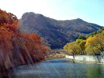 澳门天天开奖免费资料，纵横都市